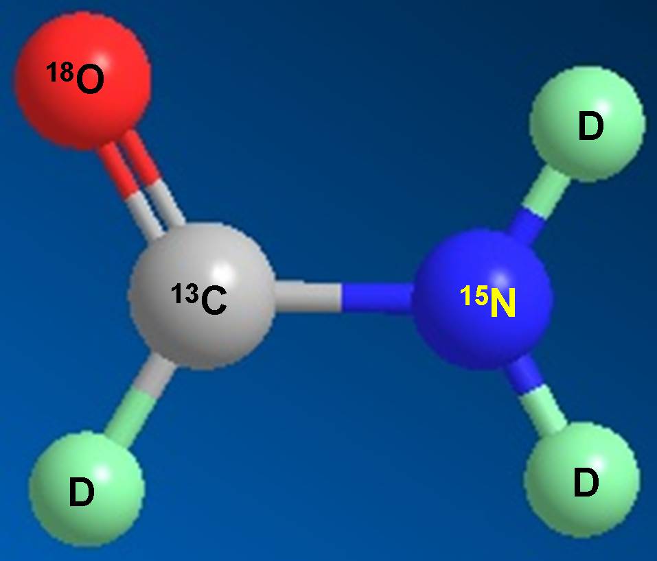 尊龙凯时科研职员受邀担当同位素手艺交流培训会讲师