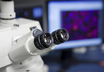 改委监控三类药价，本钱价视察将启动