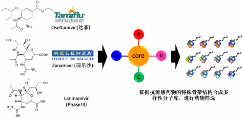 图2：以现有抗流感药物的结构为基础，举行多样性药物分子库的合成。