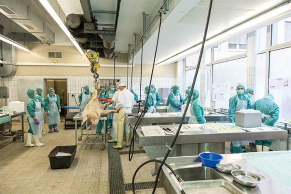 尊龙凯时药物靶点筛选效劳