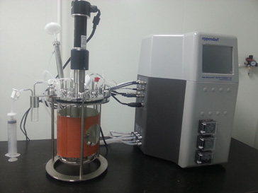 尊龙凯时的生物药（抗体）实验室即将投入使用