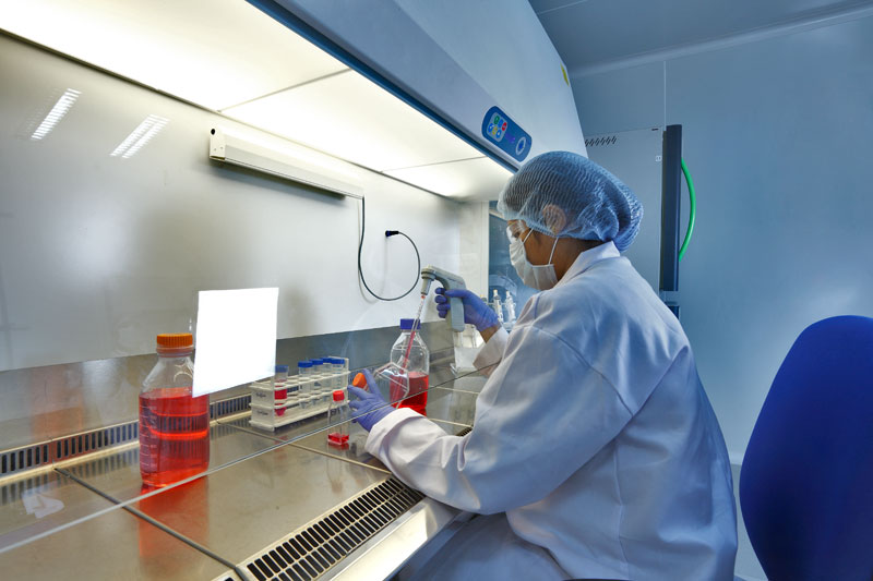 2015年药品特殊审评数据剖析：哪些新药搭上了快车？