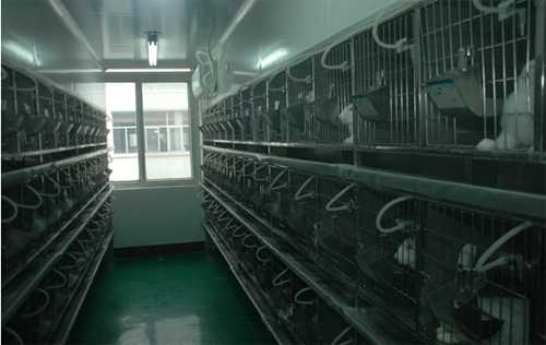 尊龙凯时实验动物房