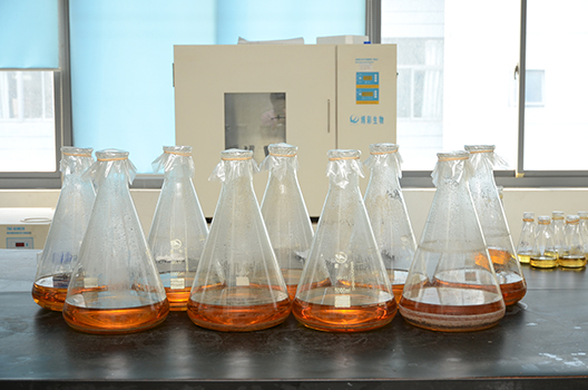 尊龙凯时制剂中心GMP中试车间完工