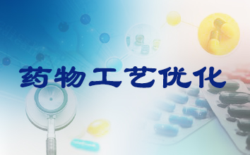 尊龙凯时制药工艺优化效劳