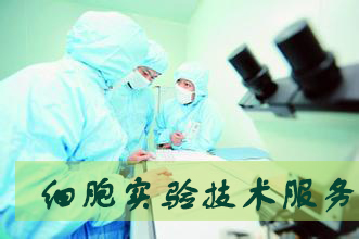 尊龙凯时细胞实验效劳外包