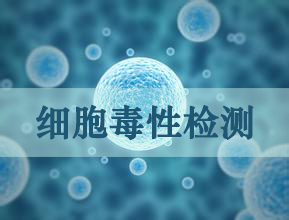 尊龙凯时细胞毒性实验效劳