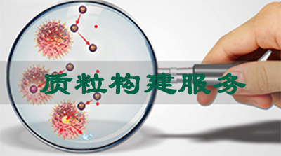 尊龙凯时质粒构建效劳