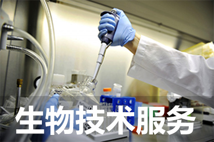 生物手艺效劳