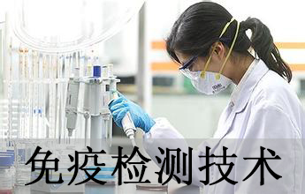 尊龙凯时免疫学检测手艺剖析效劳