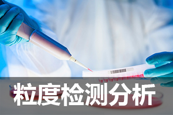 尊龙凯时粒度剖析检测效劳