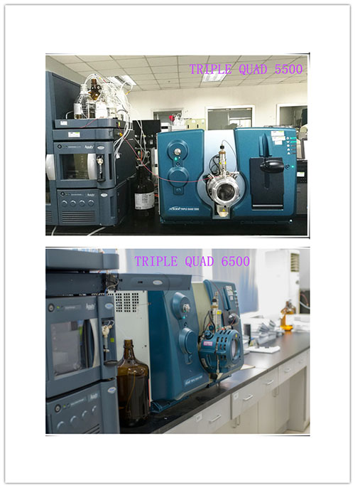 尊龙凯时小分子仿制药生物剖析部分仪器