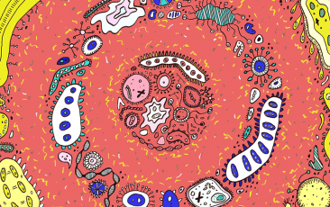 尊龙凯时·(中国区)人生就是搏!