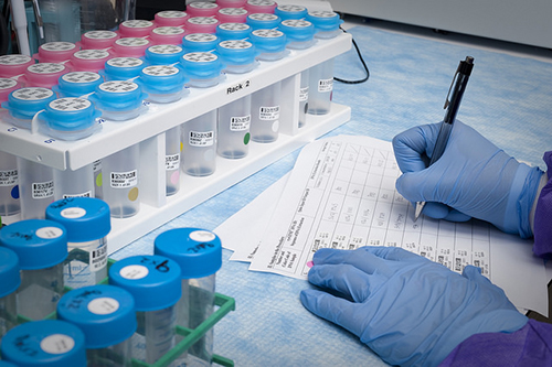 浅谈：立异药物IND申请之药学研究