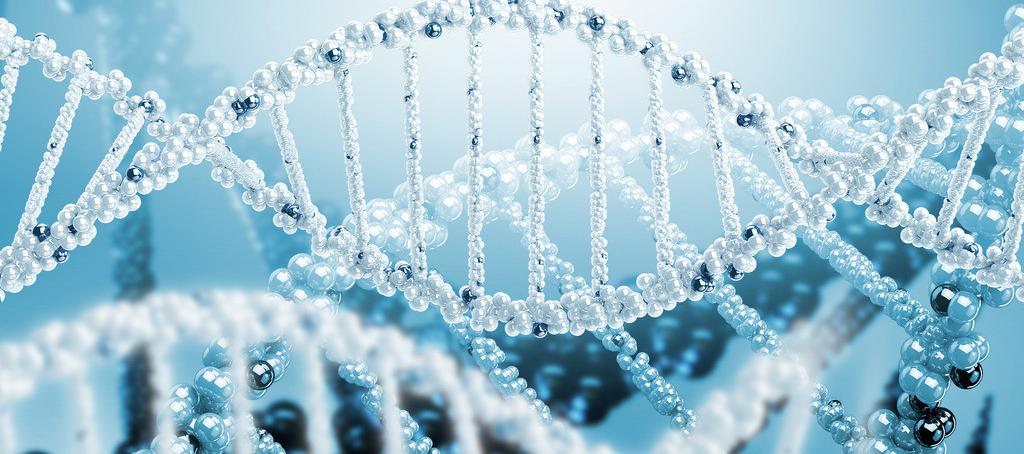 浅谈尊龙凯时抗体药物PK剖析要领学设计的思量要点