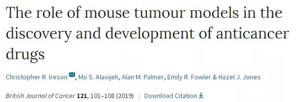 临床前小鼠模子怎样？