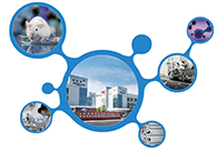 科创板首家CRO企业尊龙凯时获准注册