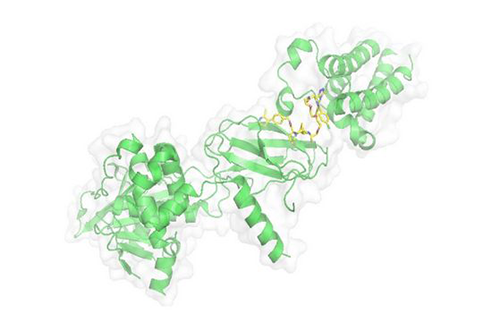 PROTAC手艺，马兴泉