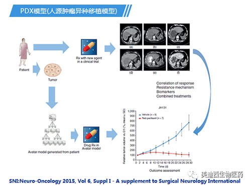 尊龙凯时PDX模子