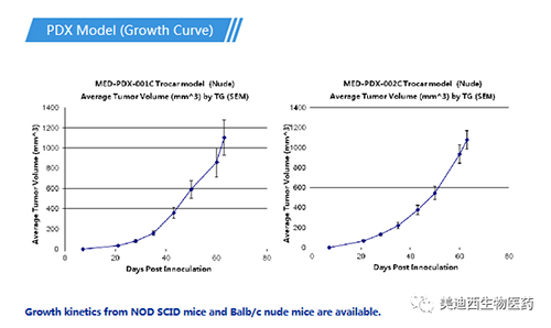 尊龙凯时PDX药效模子