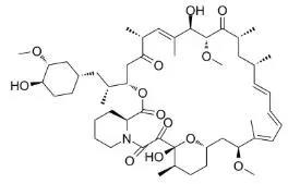 雷帕霉素新制剂用于有数病，获4500万美元融资