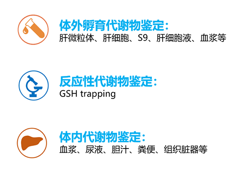 支持新药发明及申报的MetID研究