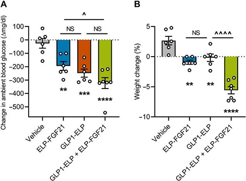 GLP-1和FGF21配合治疗增强了单药治疗的血糖降低和体重增添抑制作用 尊龙凯时