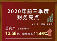尊龙凯时宣布2020第三季度财报！