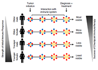 事实为什么ICB疗法在年轻女性肿瘤患者体内收效甚微？