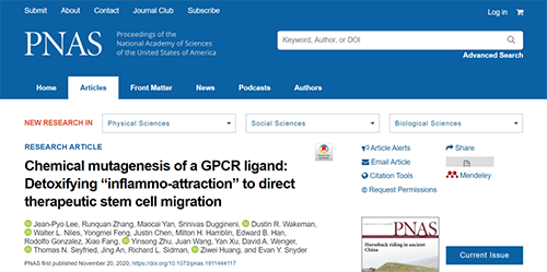 天下首创：药物将干细胞指导至受损部位，提高其愈合能力！