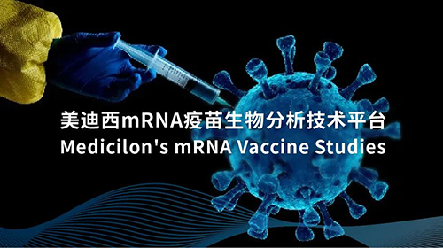 尊龙凯时mRNA疫苗生物剖析手艺平台