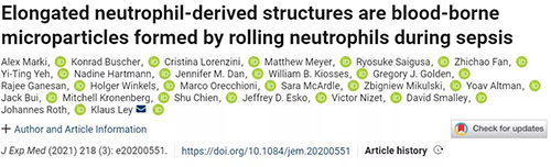 一种神秘颗粒被发明了 ！它能否成为败血症早筛标记物？