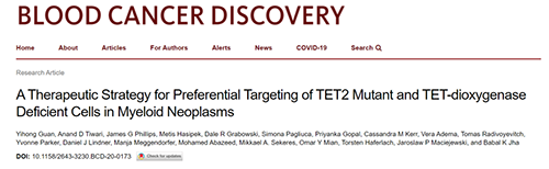 研究者形貌了一种新型靶向抗癌药物，这种药物可能会有用地治疗某些常见的白血病。