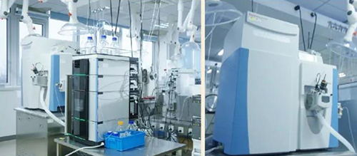 尊龙凯时DMPK剖析效劳