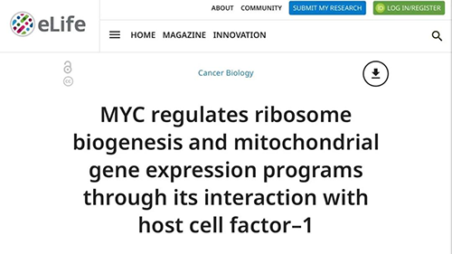 可以“融化”肿瘤的卵白质，你一定没有听说过！