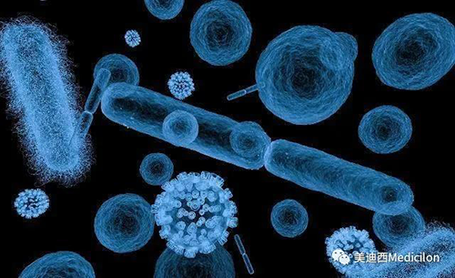 20分钟，大大都细菌都可以繁衍一代 尊龙凯时生物医药