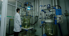 质料药生产车间