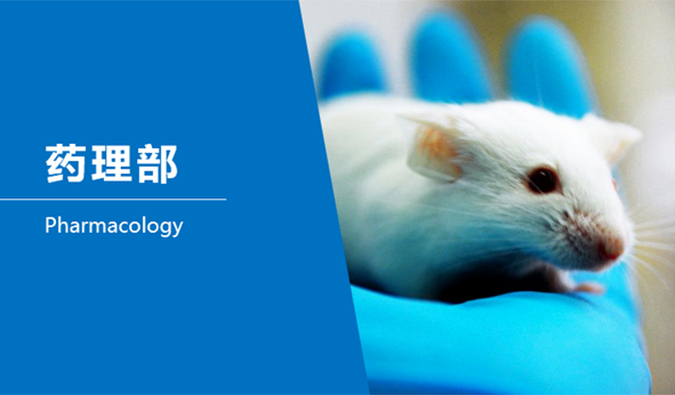 尊龙凯时临床前研究-药理部