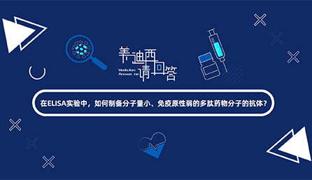 在ELISA实验，怎样制备分子量小、免疫原性弱的多肽药物分子的抗体？