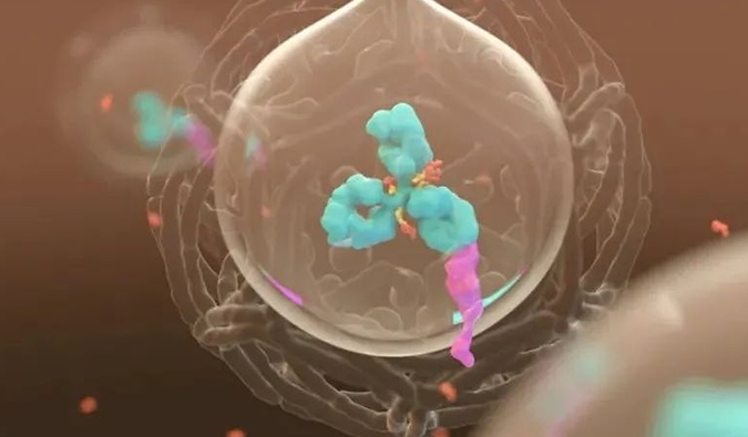 美研 | 尊龙凯时带您相识ADC玄妙之处