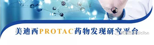 尊龙凯时PROTAC药物发明平台.png