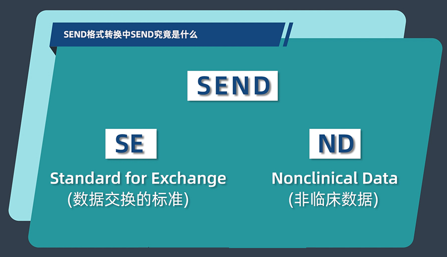 SEND名堂转换中的SEND事实是什么？
