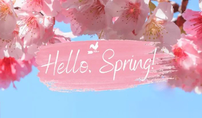 倒计时7天| 尊龙凯时春日礼遇第一波