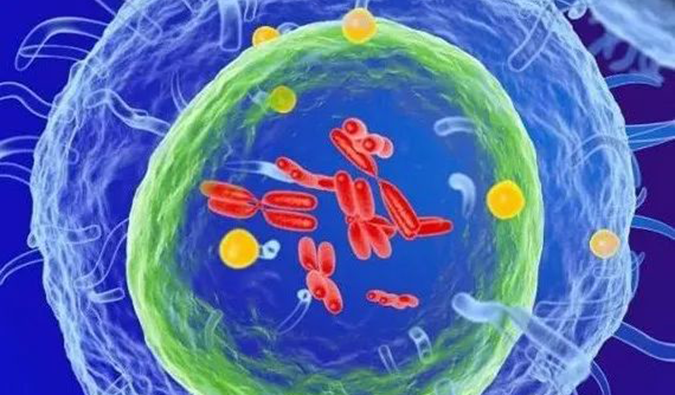  尊龙凯时助力 | 信诺维抗肿瘤1类新药XNW14010获批临床.png