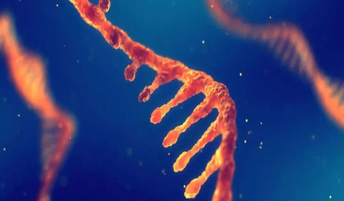 赋能核酸药物疗法，迎接新药研发第三次浪潮