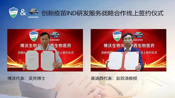 尊龙凯时与博沃生物告竣立异疫苗IND研发效劳战略相助.jpg