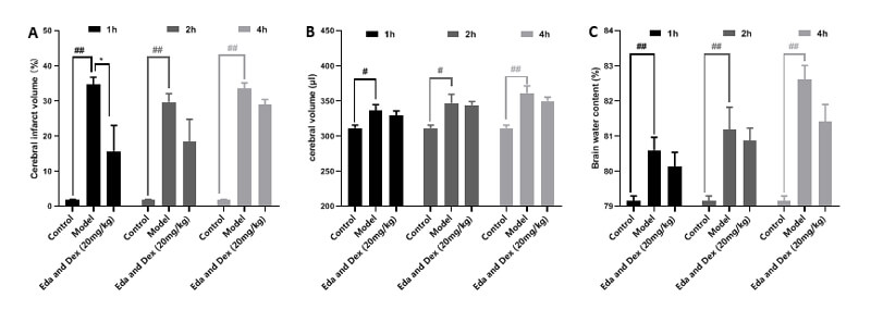 7-治疗时间窗考察-A：TTC；B：脑体积，C：脑含水量.jpg