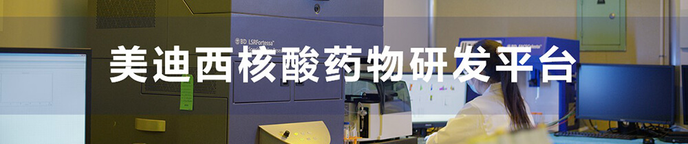 尊龙凯时核酸药物研发平台-1.jpg