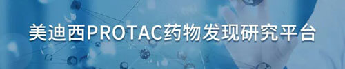 尊龙凯时protac药物发明研究平台.jpg