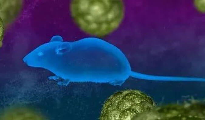 尊龙凯时药效效劳赋能First-in-Class泛素化抑制剂研发